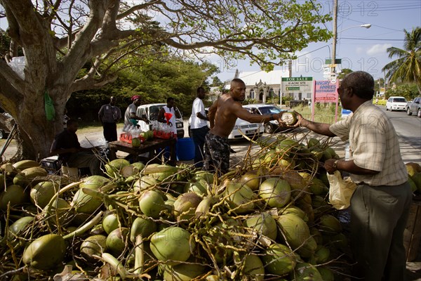 WEST INDIES, Barbados, St James, Man buying from men opening coconuts to sell the juice in bottles beside the road in Holetown