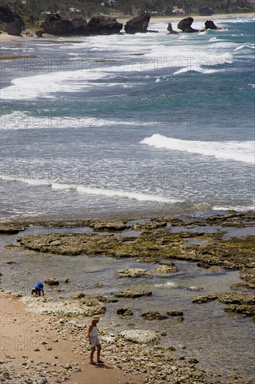WEST INDIES, Barbados, St Joseph, Children playing in rock pools whilst an adult walks on the beach at Bathsheba