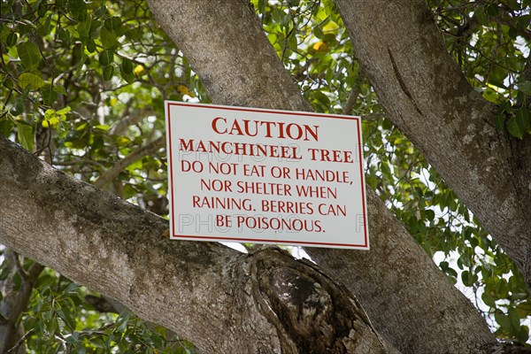 WEST INDIES, Barbados, St Thomas, Warning sign on a poisonous manchineel tree on the beach at Sandy Lane