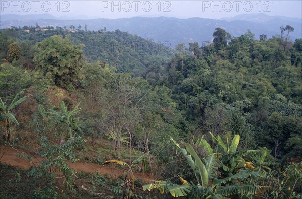 THAILAND, Mae Sa Long Area, Landscape, Hillsides covered with tropical vegetation.