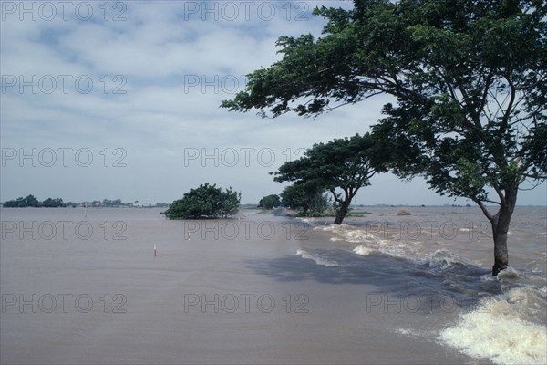 THAILAND, Farming, Flooded fields with only trees visible above the water line.