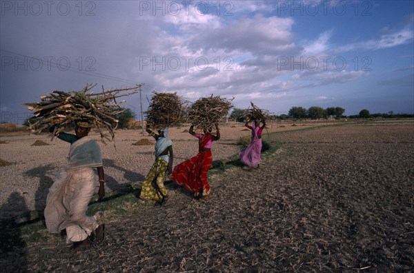 20067466 INDIA Andhra Pradesh Work Women carrying bundles of firewood on their heads.