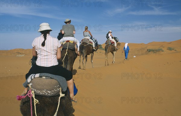 MOROCCO, Sahara, Merzouga, Guide leading tourist camel train through desert landscape.