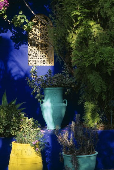 MOROCCO, Marrakesh, The Jardin Majorelle owned by Yves St Laurent.  Detail of planting against vivid blue wall with metal screen insert.