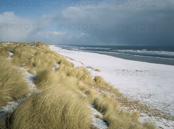 SCOTLAND, Aberdeen, Balmedie Beach, View north east along snow covered beach with tussocks of grass on the dunes in the foreground.
