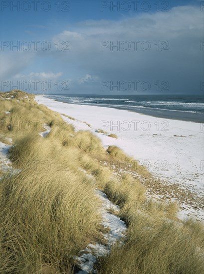 SCOTLAND, Aberdeen, Balmedie Beach, View north east along snow covered beach with tussocks of grass growing over dune in the foreground.