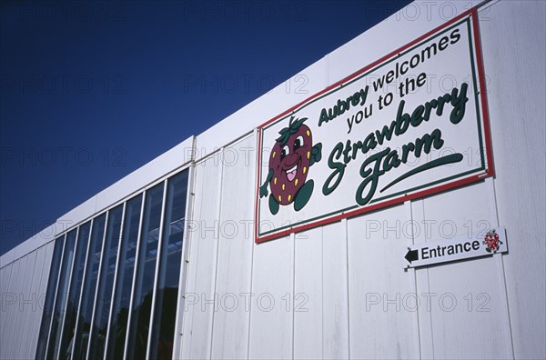 UNITED KINGDOM, Channel Islands, Guernsey, "St Saviours, La Rue Des Issues. Strawberry Farm sign at main entrance."