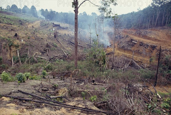 MALAYSIA, East Coast, Environmental Damage, Severe deforestation and destruction of tropical hardwood forest.