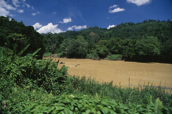 MALAYSIA, Sabah, Padas River, River through jungle near Tenom.  Many of the rivers in Borneo are now muddy due to logging erosion.