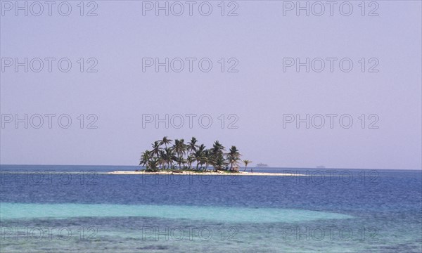 BELIZE, Ranguana Caye, A sandy isolated island covered in palm trees in the distance.