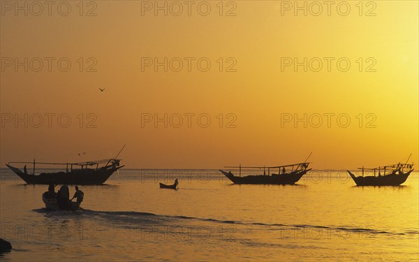 OMAN, Sur, "Traditional Omai fishing Dhows, returning to port, early morning."