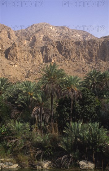 OMAN, Tiwi, "Wadi, an area of natural water in the desert, palm trees and a mountain in the distance"