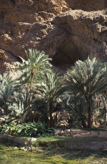 OMAN, Tiwi, "Wadi, an area of natural water in the desert, with cave in the background."