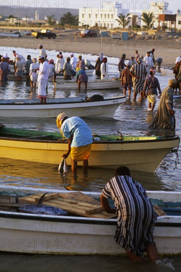 OMAN, Sur, Fishermen bringing freshly caught fish to shore.