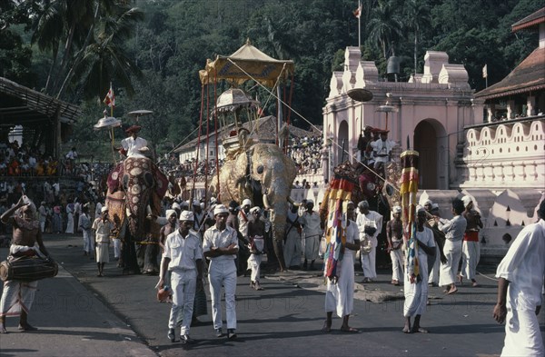 SRI LANKA, Kandy, Kandy Esala Perahera.  Procession to honour sacred tooth ehshrined in the Dalada Maligawa Temple of the Tooth.  Drummers and decorated elephants.
