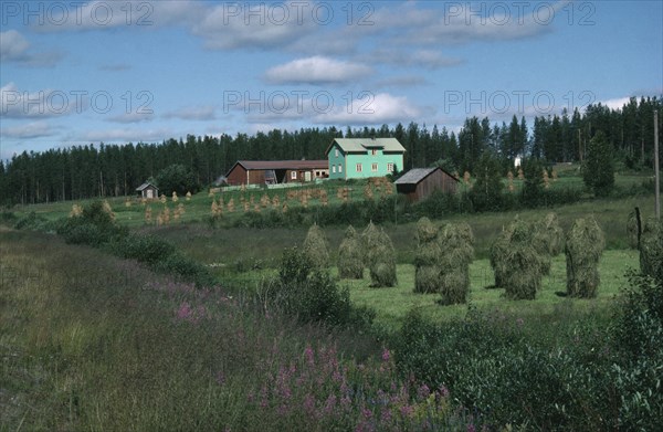 FINLAND, Lapland, Traditional agricultural landscape with small hayricks and wooden farm buildings.