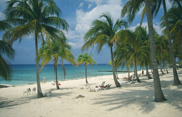 CUBA, Pinar del Rio, Maria la Gorda, Sandy beach with people sunbathing amongst palm trees looking out over calm turquoise sea.