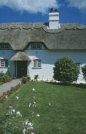 ENGLAND, Hampshire, Lyndhurst, Thatched Cottage seen from across green front lawn.