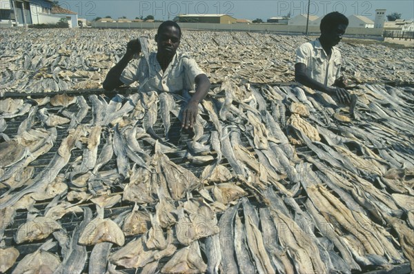 ANGOLA, Mocamedes, Laying out fish to dry on metal racks.