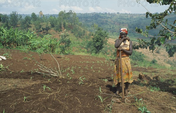 BURUNDI, Kirundo Province, Tribal People, Burundian returnee from Rwanda cultivating land using fertilizer supplied by the EEC.