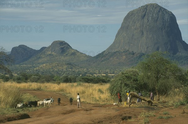 UGANDA, Karamoja, Rural bus stop on unmade road with large domed rock formation behind and cattle with herder in foreground.