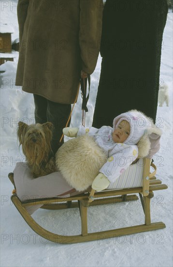 SWITZERLAND, Children, Baby, Wrapped up baby and Yorkshire Terrier on wooden sledge on snow covered ground.
