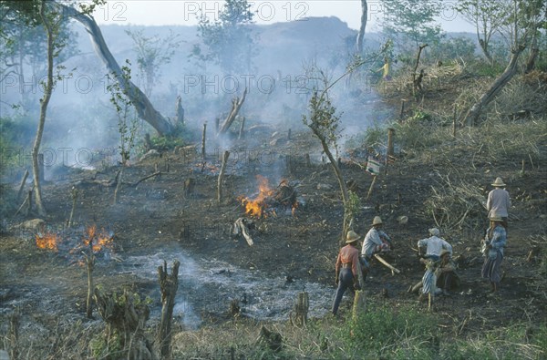 INDONESIA, Lombok, Environment, Aftermath of traditional slash and burn method of forest clearance for agriculture on hill top near Kuta on the south coast.