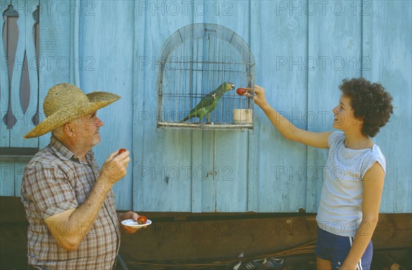 BRAZIL, People, Elderly man and young girl feeding fruit to caged parrot.