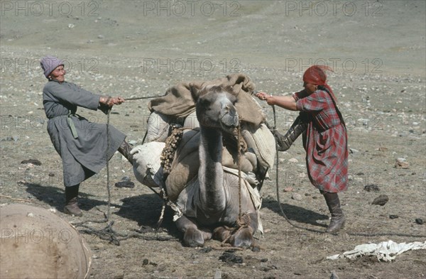MONGOLIA, People, Couple tying load onto camel in preparation to leave camp.