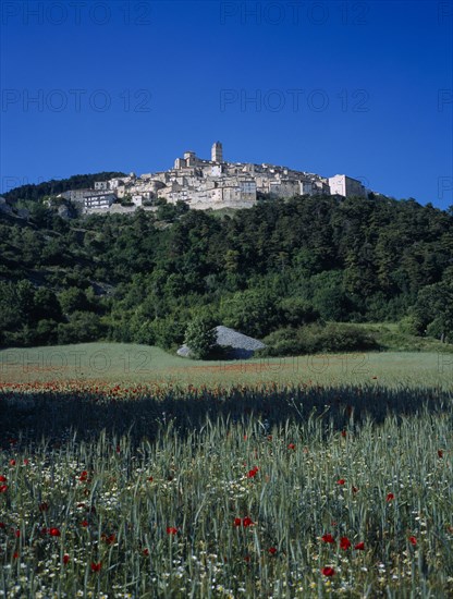 ITALY, Abruzzo, Castel del Monte, "The village on side of a hill, surounded by trees,  viewed over field of grass and red flowers"