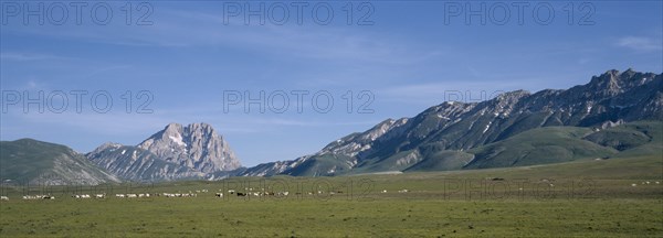 ITALY, Abruzzo, Sasso di Italia, "Campo Imporatore. A vast high plateau used for horse cattle and sheep, summer grazing."