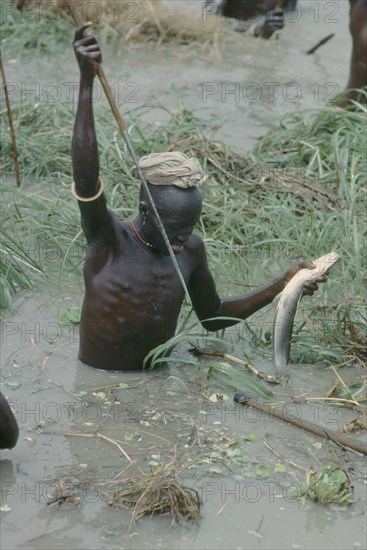SUDAN, People, Dinka tribesman catching fish with barbed fishing spear.