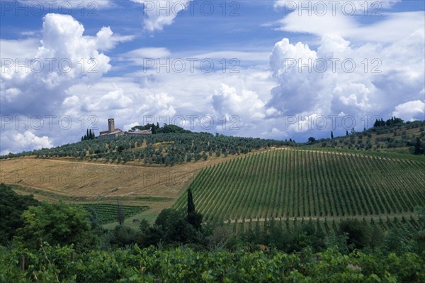 ITALY, Tuscany, General, Landscape with vineyards and dramatic cloudscape above towards San Lucia near San Gimignano.
