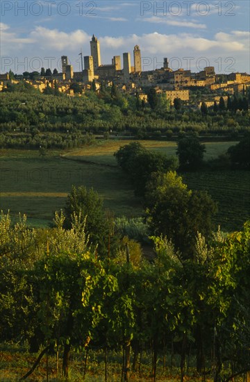 ITALY, Tuscany, San Gimignano, View towards towers on San Gimignano with vineyards in the foreground.