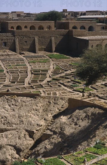 MALI, Timbuctu, Irrigated vegetable gardens around the main well.