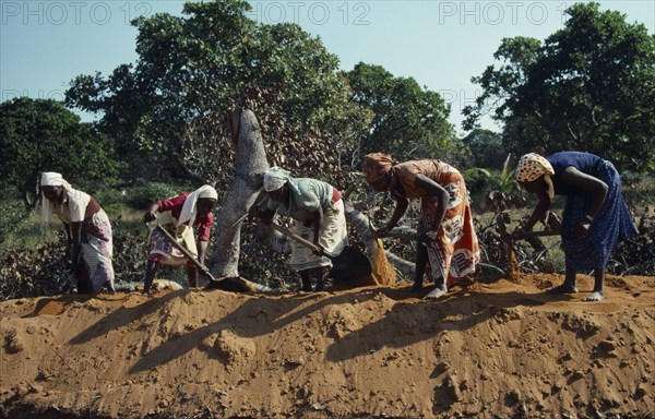 MOZAMBIQUE, Transport, UNILO road refurbishment.  Line of female labourers.