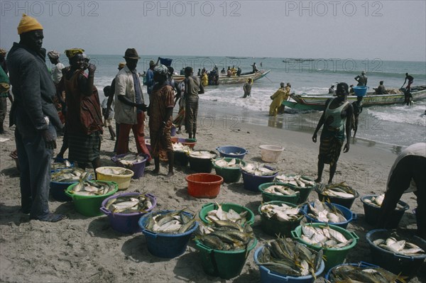 GAMBIA, Industry, Fishing, Fishing village with people on the beach with buckets of  the days catch of fish and boats on shoreline.