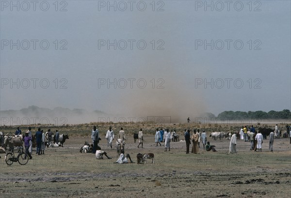 SUDAN, Weather, Dust storm approaching Dinka cattle market.