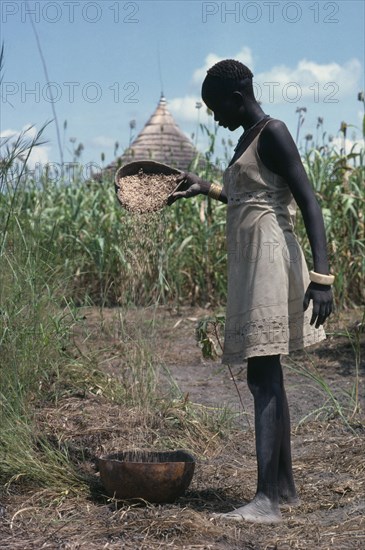 SUDAN, Farming, Dinka girl winnowing millet.