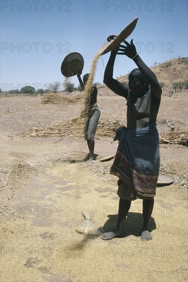 SUDAN, South Darfur, Farming, Masalit women winnowing millet.  The Masalit people primarily make their living through agriculture.