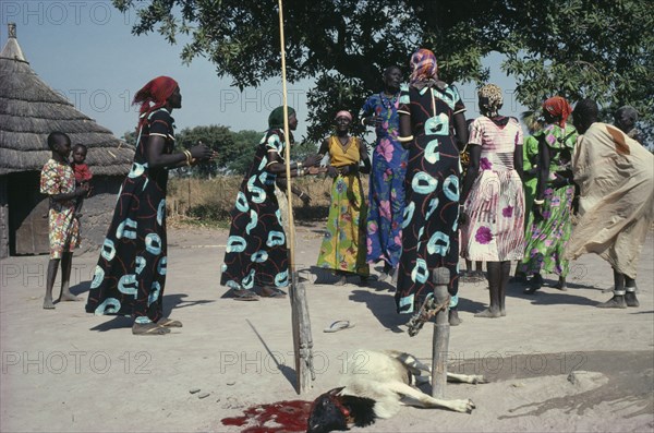 SUDAN, Tribal People, "Dinka marriage ceremony, sacrificed goat and women dancing, with those from the same family wearing identical dresses."