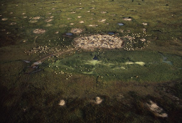 SUDAN, Traditional Housing, Aerial view over Dinka cattle camp during the wet season.