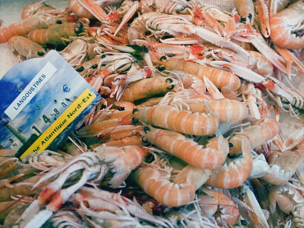 FRANCE, Deux Sevres Region, Poitiers, Langoustines on sale at the market in the town of Rouille.