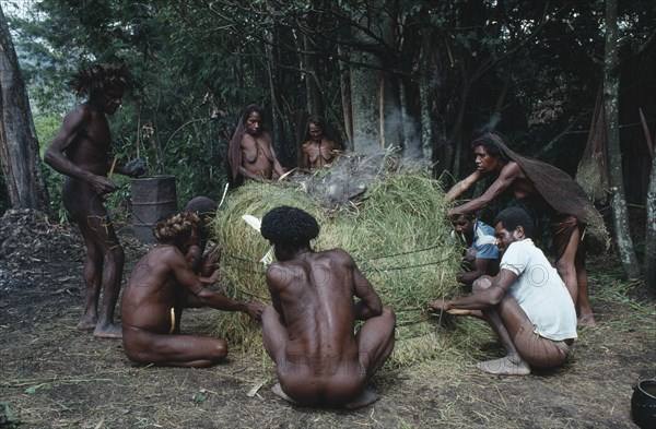 INDONESIA, Irian Jaya, Baliem Valley, Dani Villagers wrapping a traditional steam oven in grass for Pig Feast.