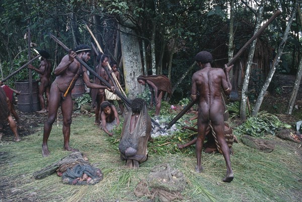 INDONESIA, Irian Jaya, Baliem Valley, Dani Tribesmen building a traditional oven with hot stones