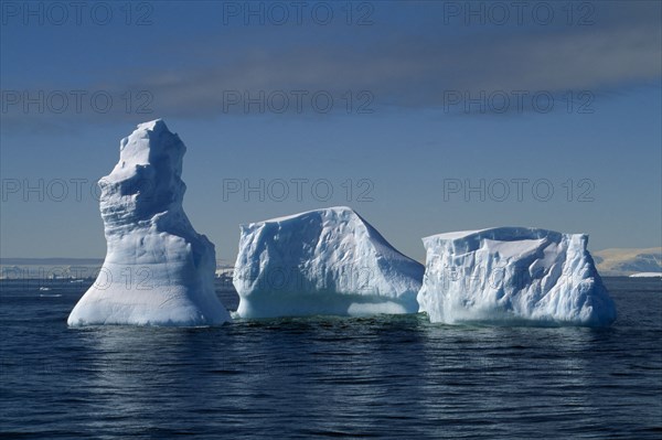 ANTARCTIC, Peninsula, Melting Icebergs on open water