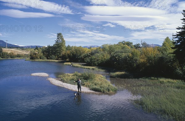 CANADA, Alberta, Man trout fishing in river near Crowsnest Pass with dog standing in water at his feet.