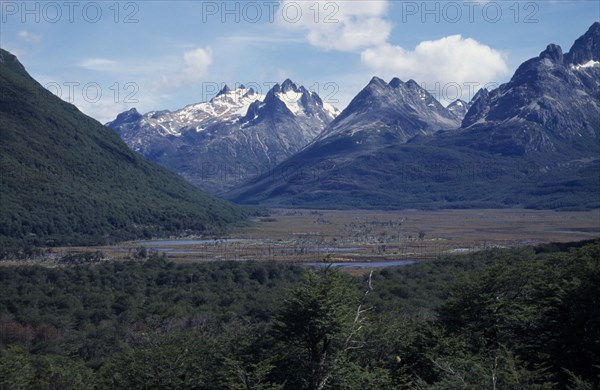 ARGENTINA, Patagonia, Tierra del Fuego, View across green forest towards partially snow capped mountains