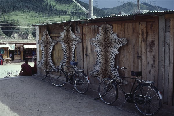 CHINA, Gansu Province, Xiahe, Leopard skins smuggled from India or Nepal hanging on the side of a wooden building next to bicycles