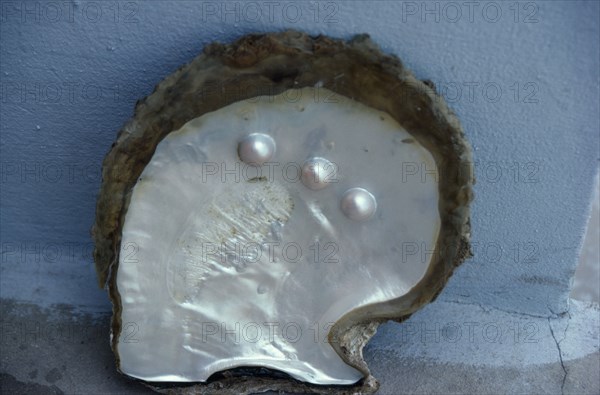 THAILAND, Phuket, Cultured half pearls on a shell